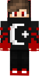 dssd