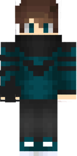 gsdgsg