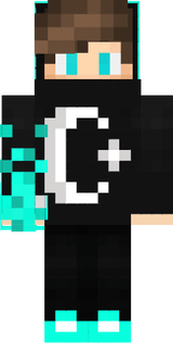save