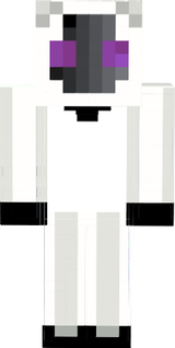 entity pro