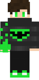 Skinn