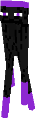 ender ninja