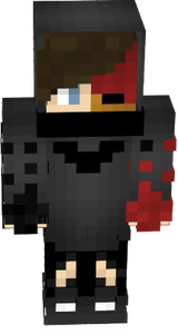 adsdsfd