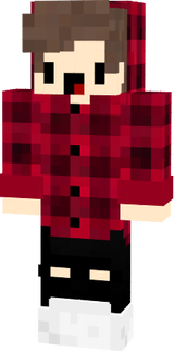 flannel skin