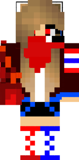 novask.in