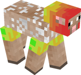 rainbow sheep