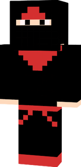 f13 ninja