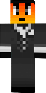 skin mc