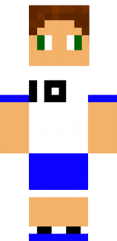 Preview of texture: florbalista
