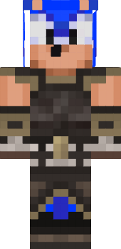 Preview of texture: sonicskir