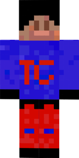 The Gamer
