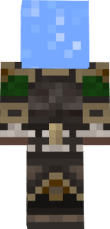 skin 1