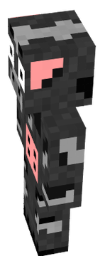 skin
