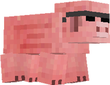 P.I.G