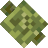Army