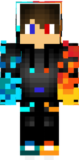 11231