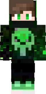 skin