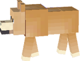 wolf_tame