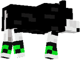 Cachorrosfs