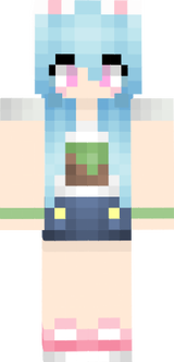 пак скинов4