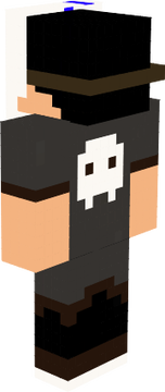 skin sahi