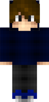 Lixser