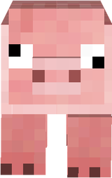 pig