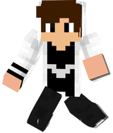 skinim