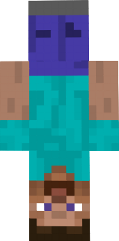 Preview of texture: Steve ^-1
