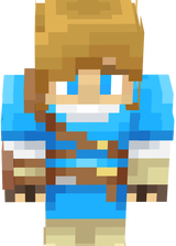 Zelda skin