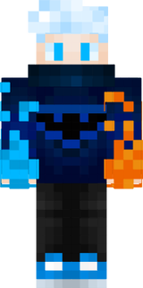 Skin