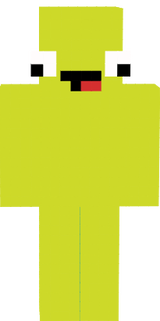 TheStupidGaming Skin