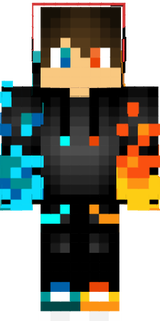 skin