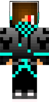 steve