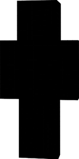 bash2313