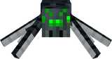 spider
