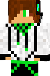 _mr_fly_