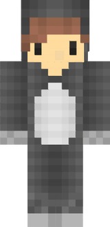 DracaufeuYVideo