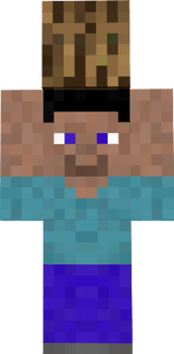 Steve + bois