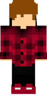 skin 1
