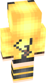 SKIN 1