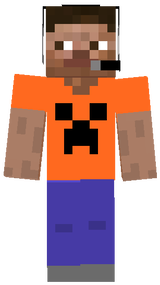 Custom steve 2v