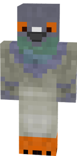 pigeon