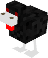 chick