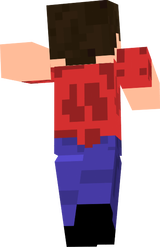 the bob