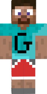 skin gamer de steve