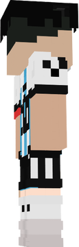 SKin elii0s