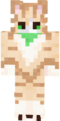 Preview of texture: catt