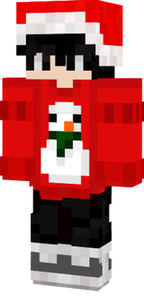 skin mc