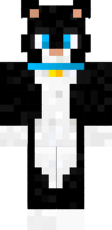 sasas